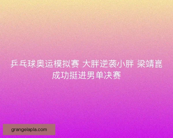 乒乓球奥运模拟赛 大胖逆袭小胖 梁靖崑成功挺进男单决赛