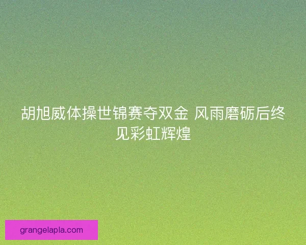 胡旭威体操世锦赛夺双金 风雨磨砺后终见彩虹辉煌