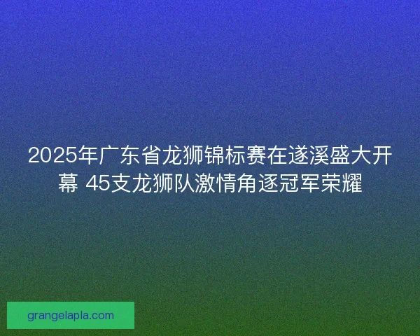2025年广东省龙狮锦标赛在遂溪盛大开幕 45支龙狮队激情角逐冠军荣耀