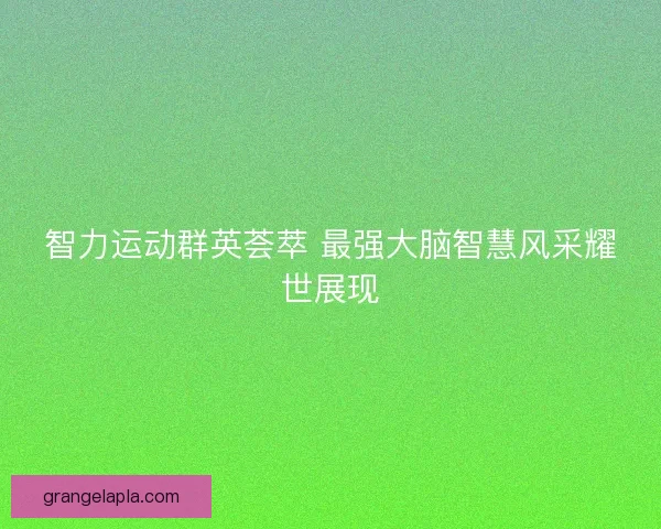 智力运动群英荟萃 最强大脑智慧风采耀世展现