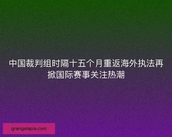 中国裁判组时隔十五个月重返海外执法再掀国际赛事关注热潮