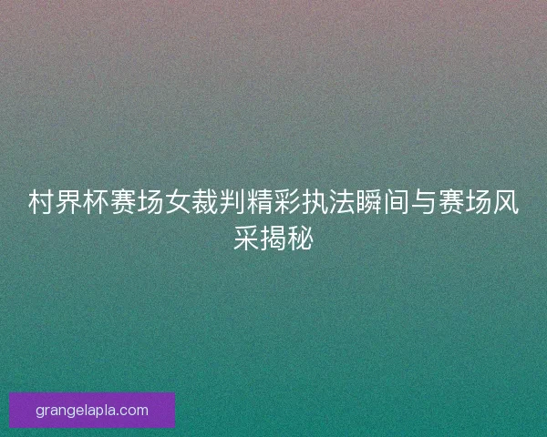 村界杯赛场女裁判精彩执法瞬间与赛场风采揭秘